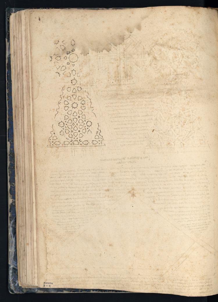 Folio 81v